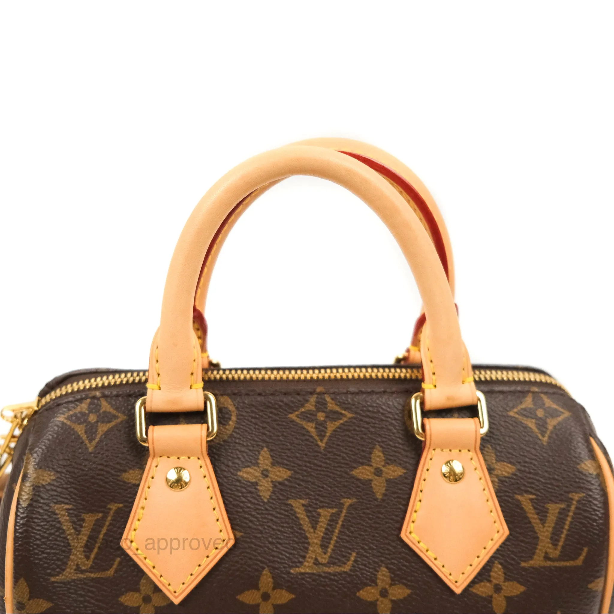 Louis Vuitton Speedy Bandoulire 20 Monogram