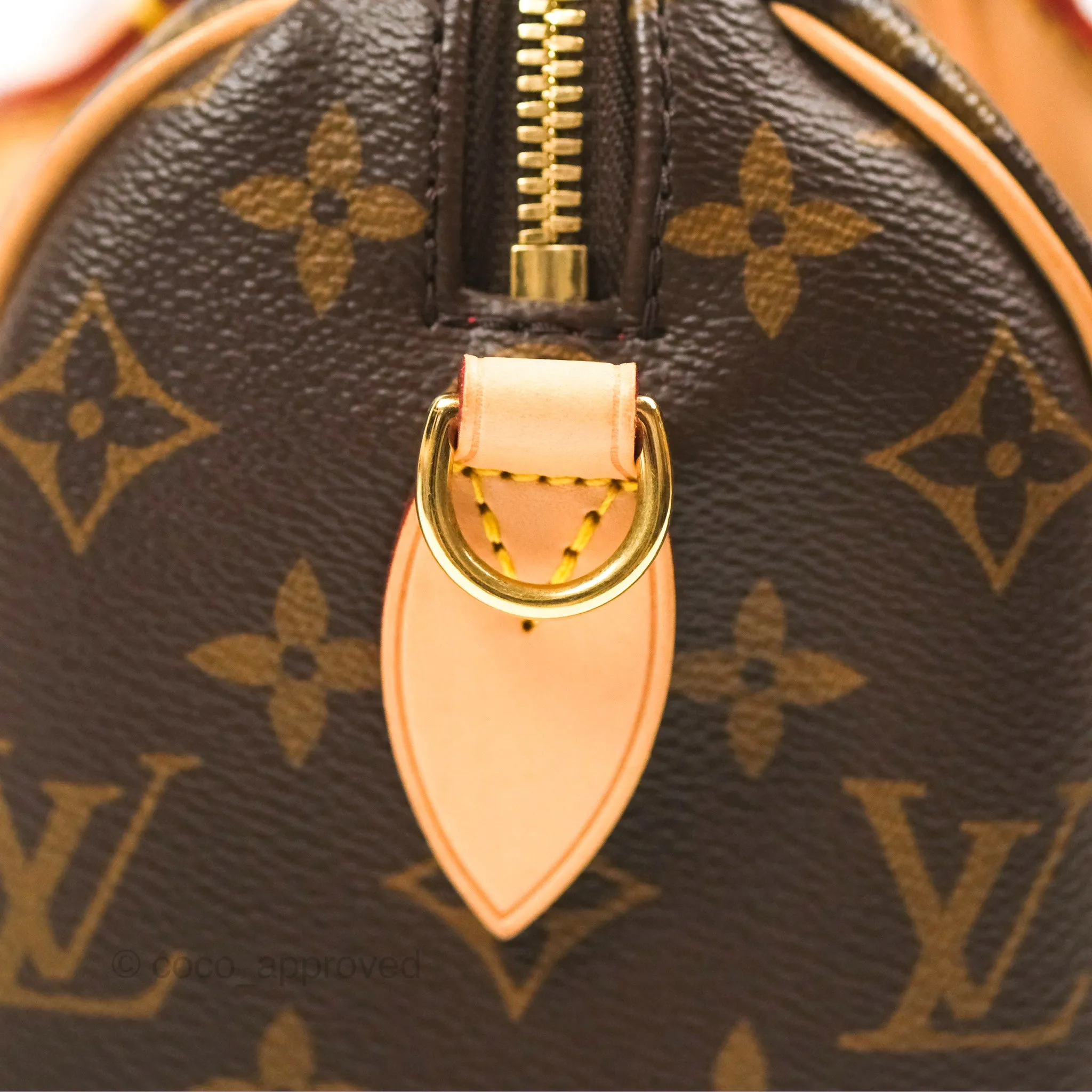 Louis Vuitton Speedy Bandoulire 20 Monogram