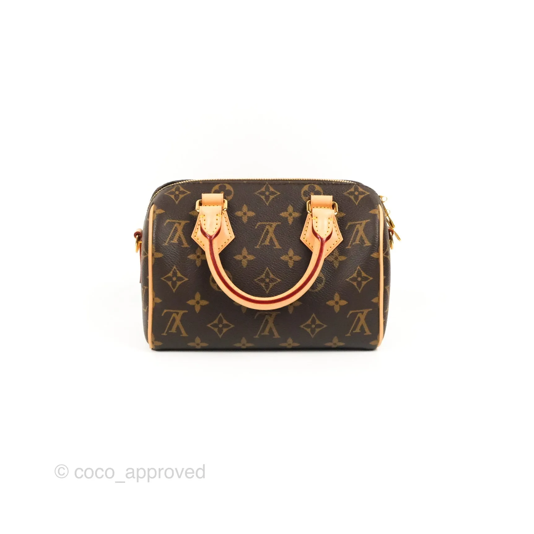 Louis Vuitton Speedy Bandoulire 20 Monogram