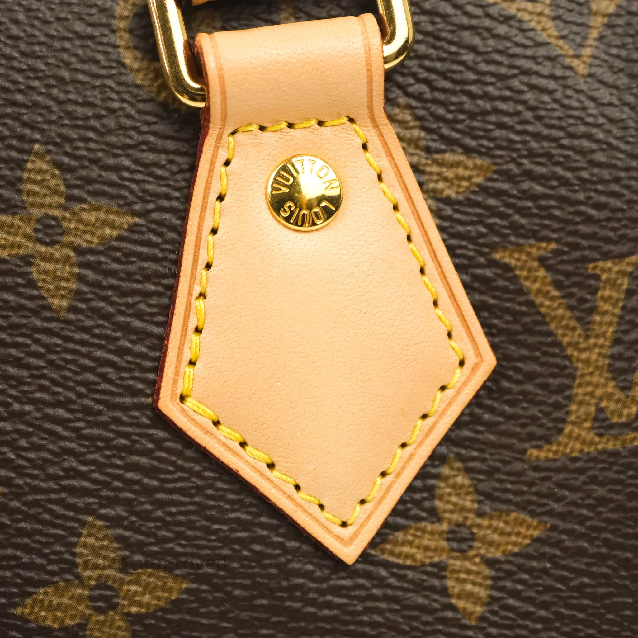 Louis Vuitton Speedy Bandoulire 20 Monogram