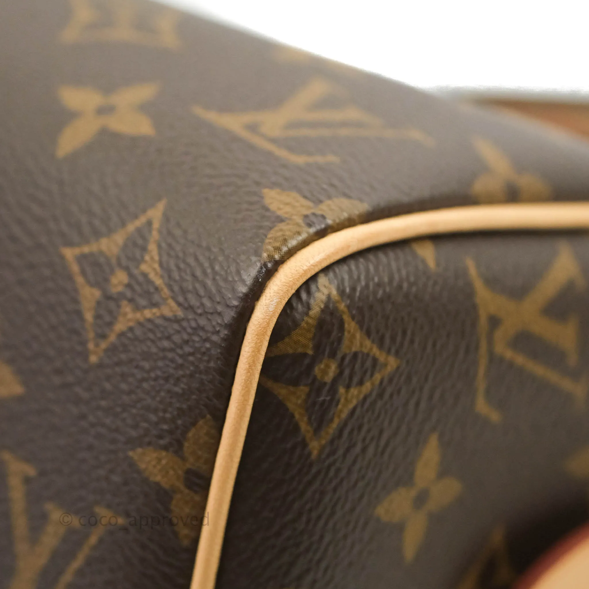 Louis Vuitton Speedy Bandoulire 20 Monogram