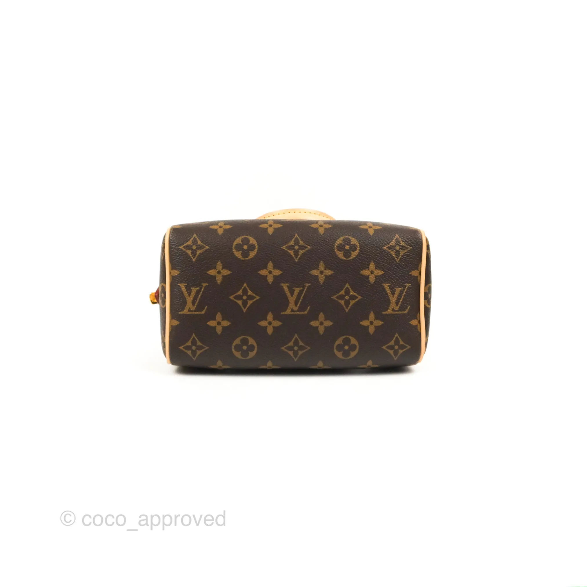 Louis Vuitton Speedy Bandoulire 20 Monogram