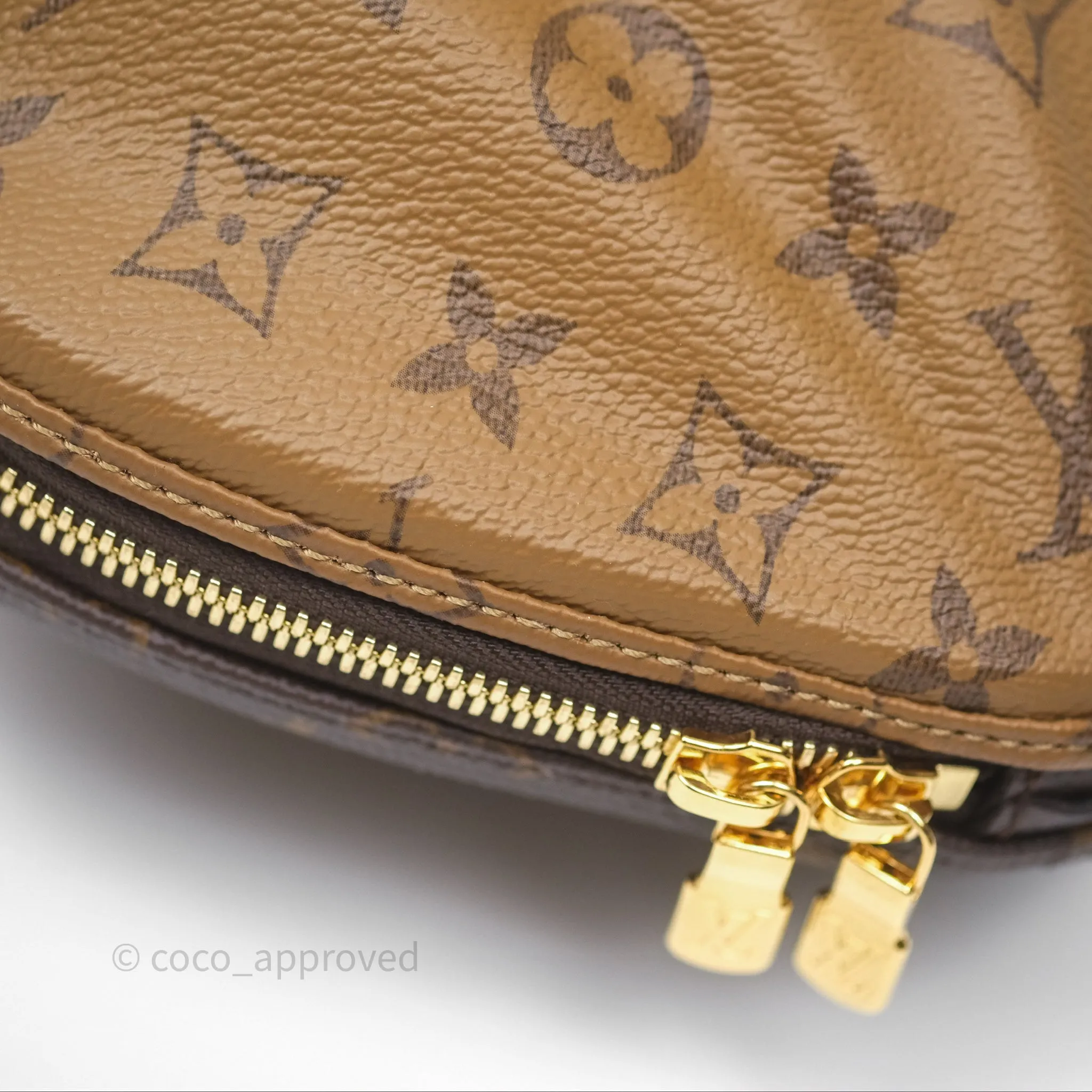 Louis Vuitton Venus Monogram Reverse Canvases