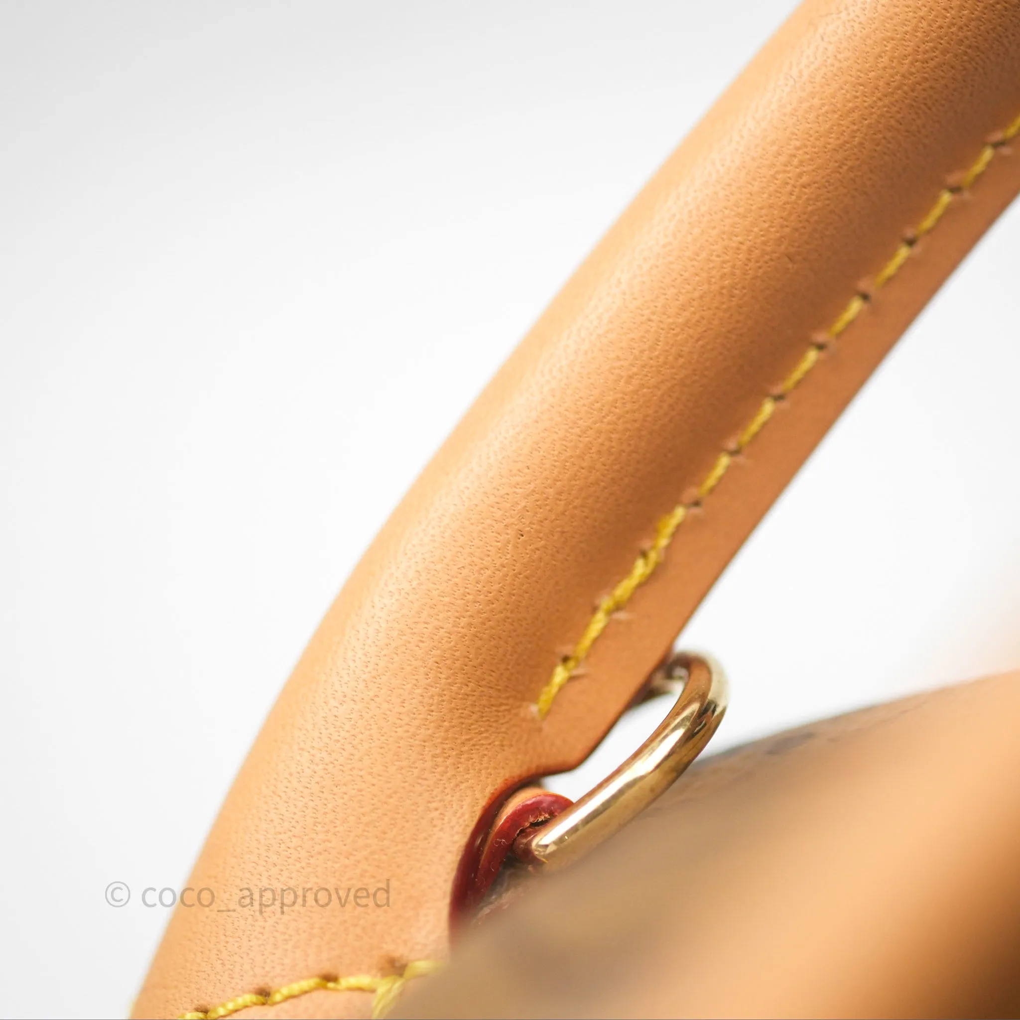 Louis Vuitton Venus Monogram Reverse Canvases