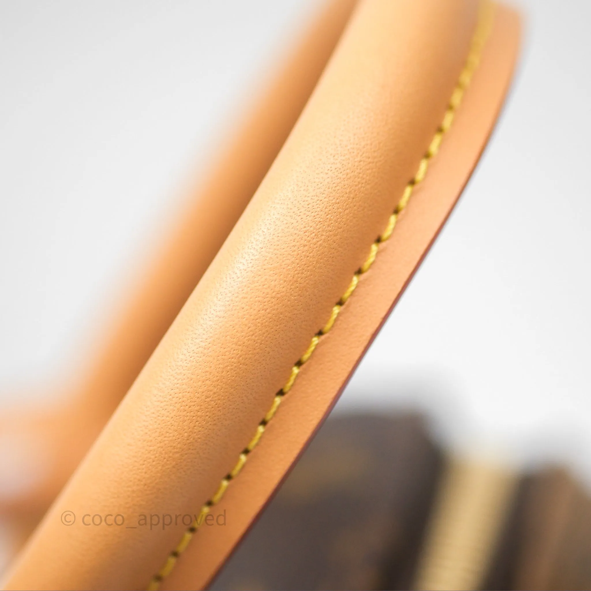 Louis Vuitton Venus Monogram Reverse Canvases