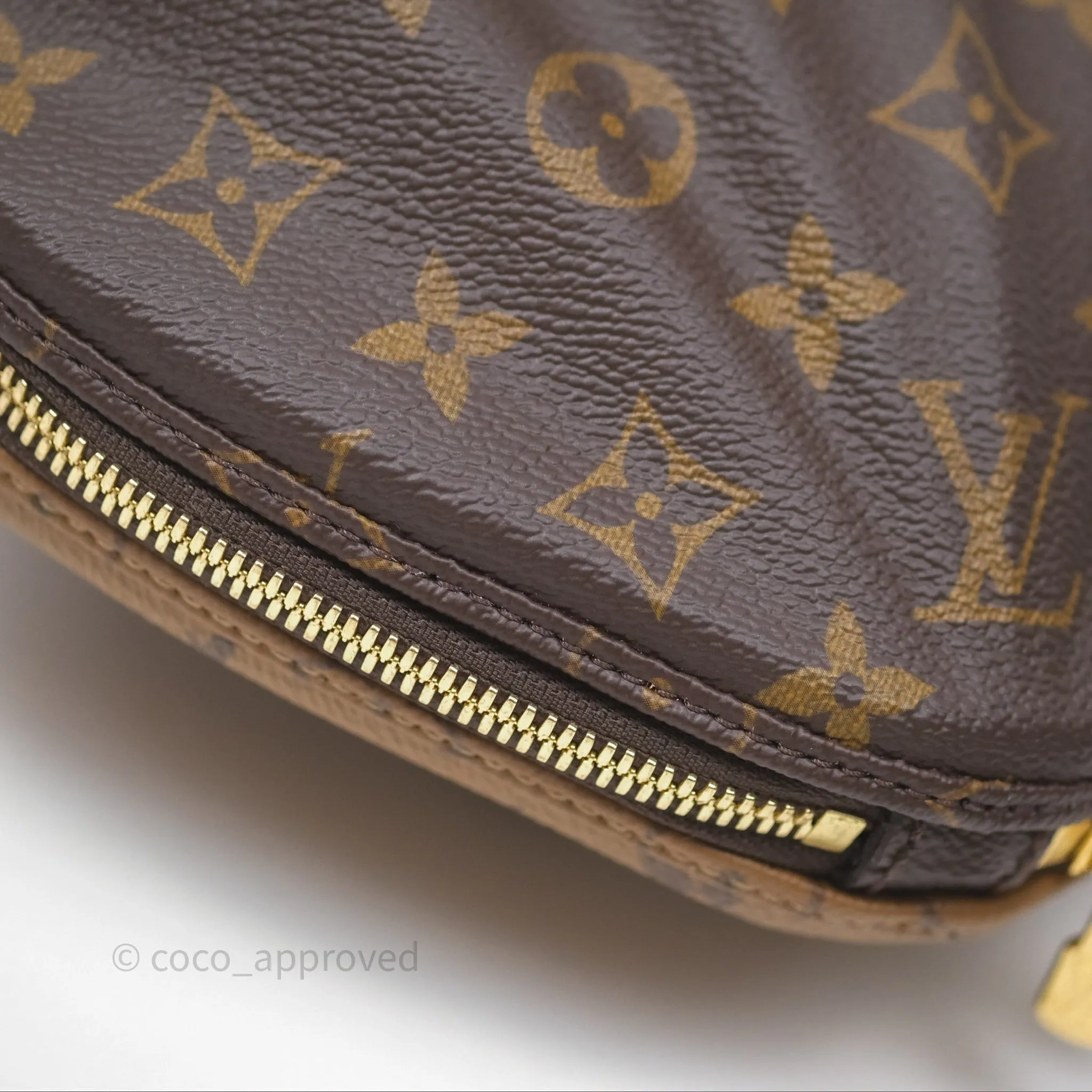 Louis Vuitton Venus Monogram Reverse Canvases