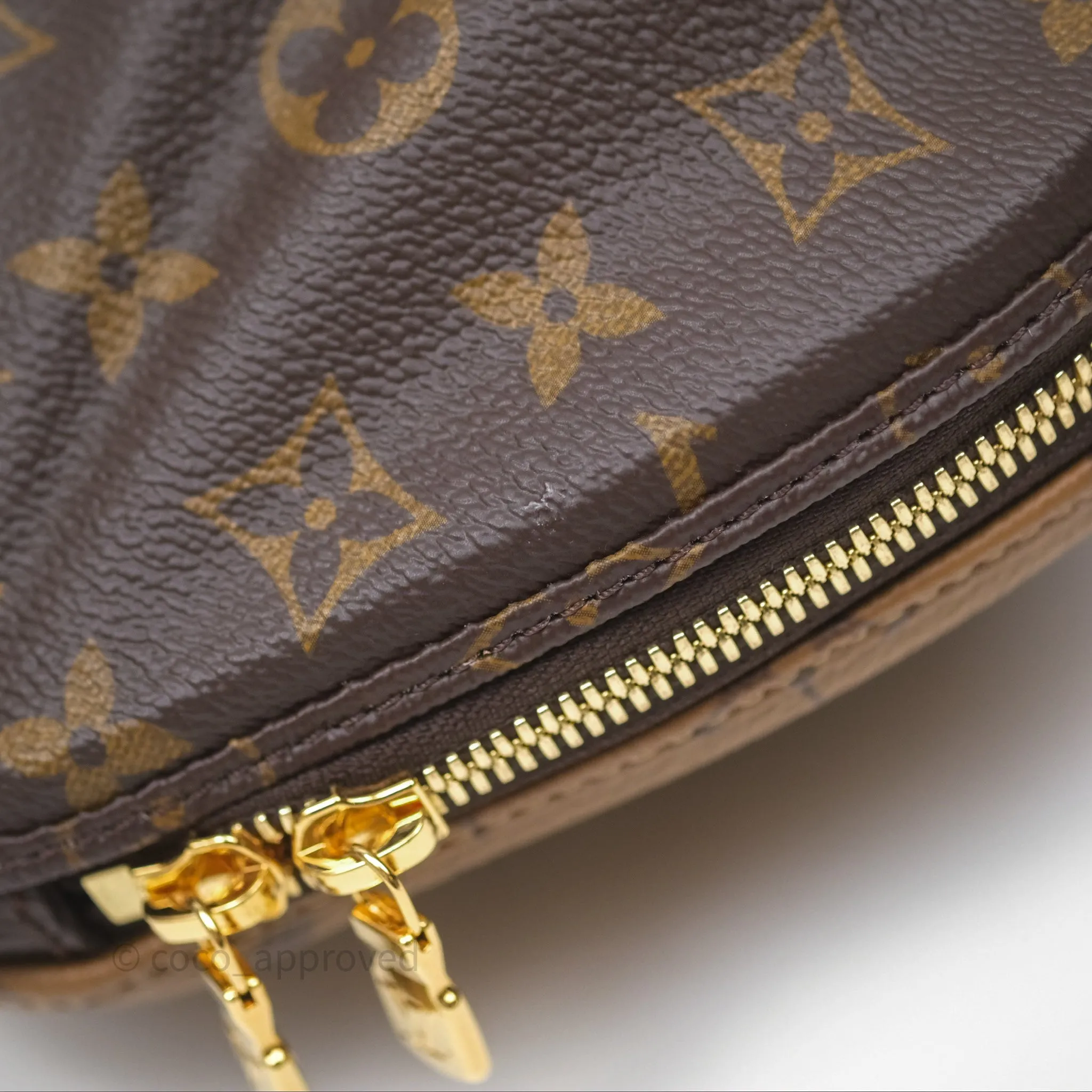 Louis Vuitton Venus Monogram Reverse Canvases