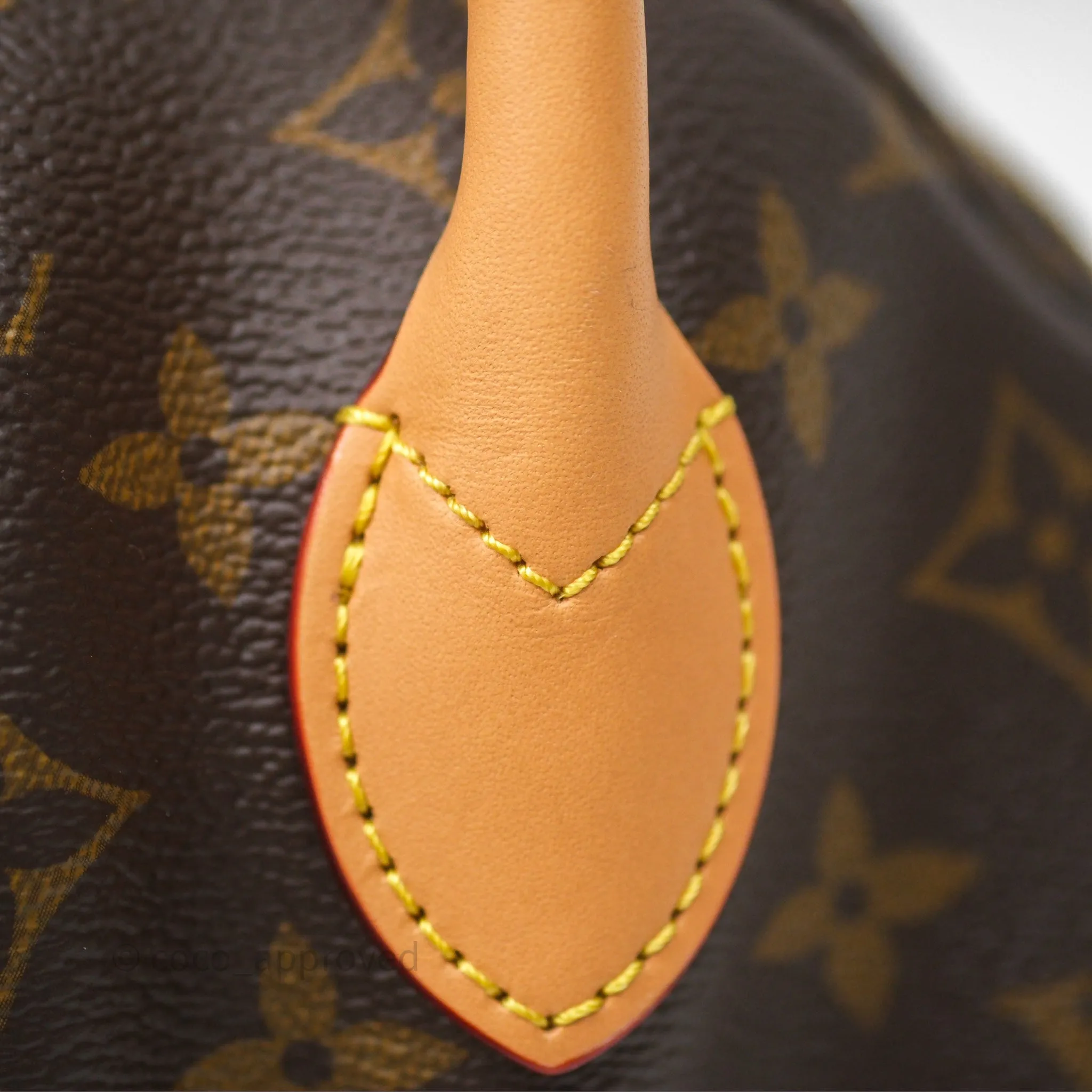 Louis Vuitton Venus Monogram Reverse Canvases