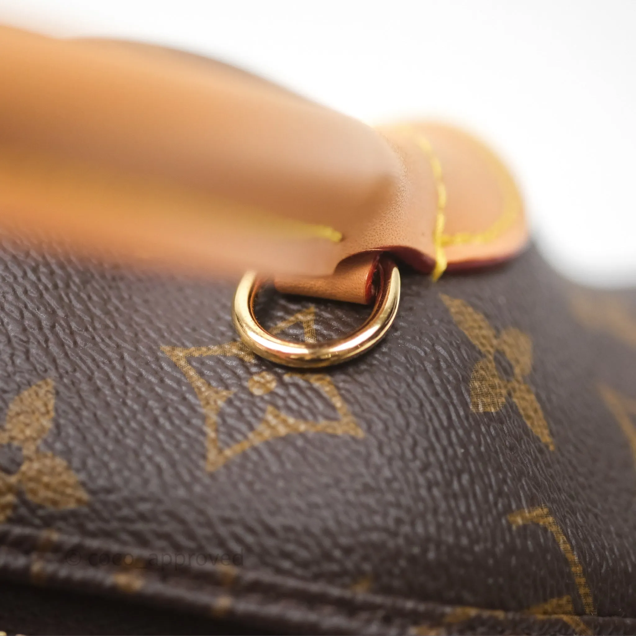 Louis Vuitton Venus Monogram Reverse Canvases
