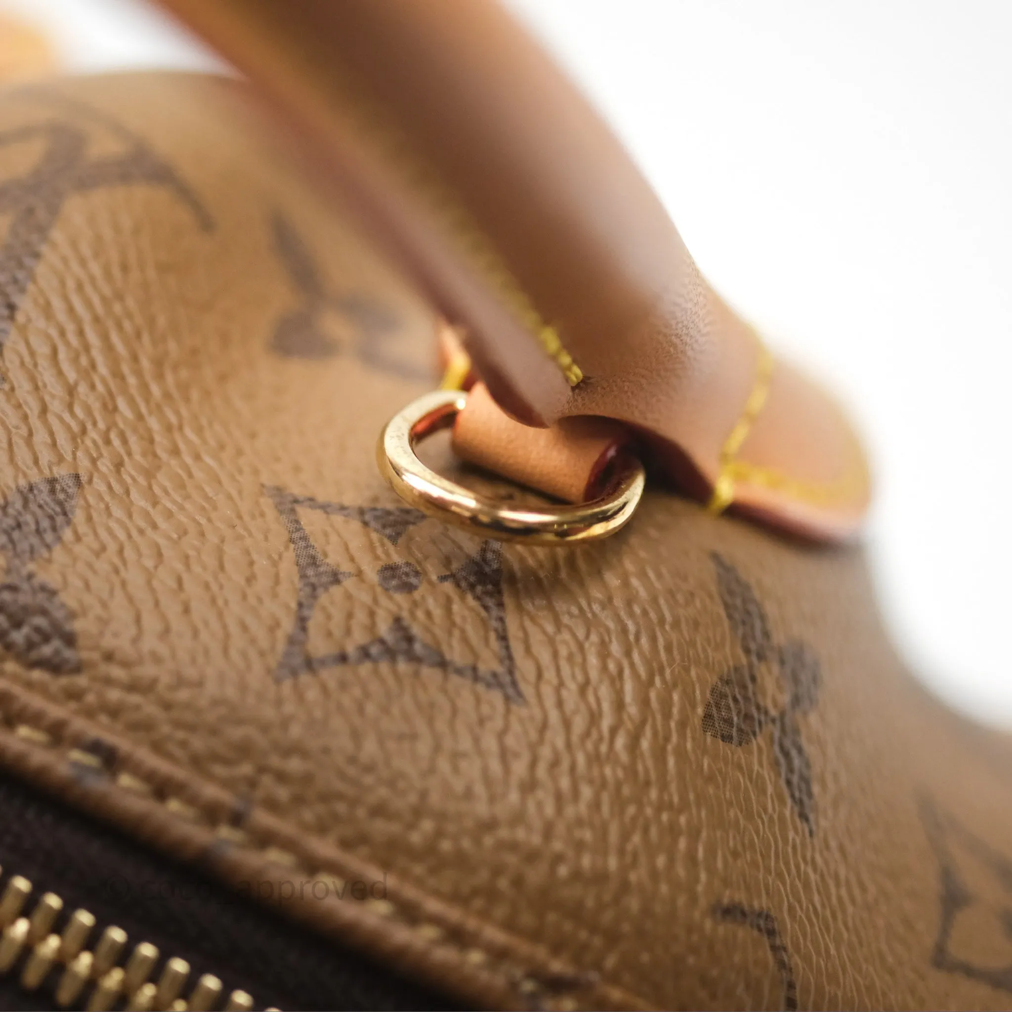 Louis Vuitton Venus Monogram Reverse Canvases