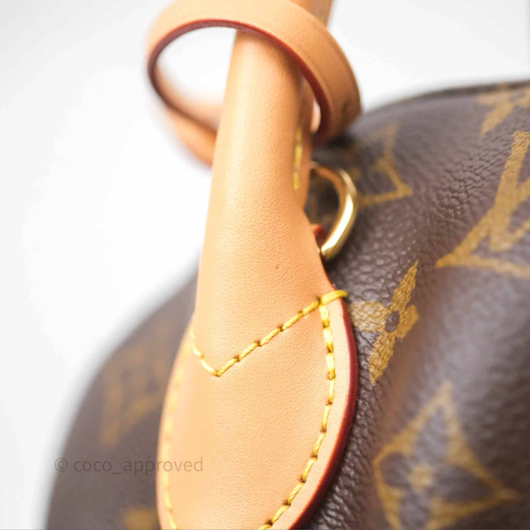 Louis Vuitton Venus Monogram Reverse Canvases