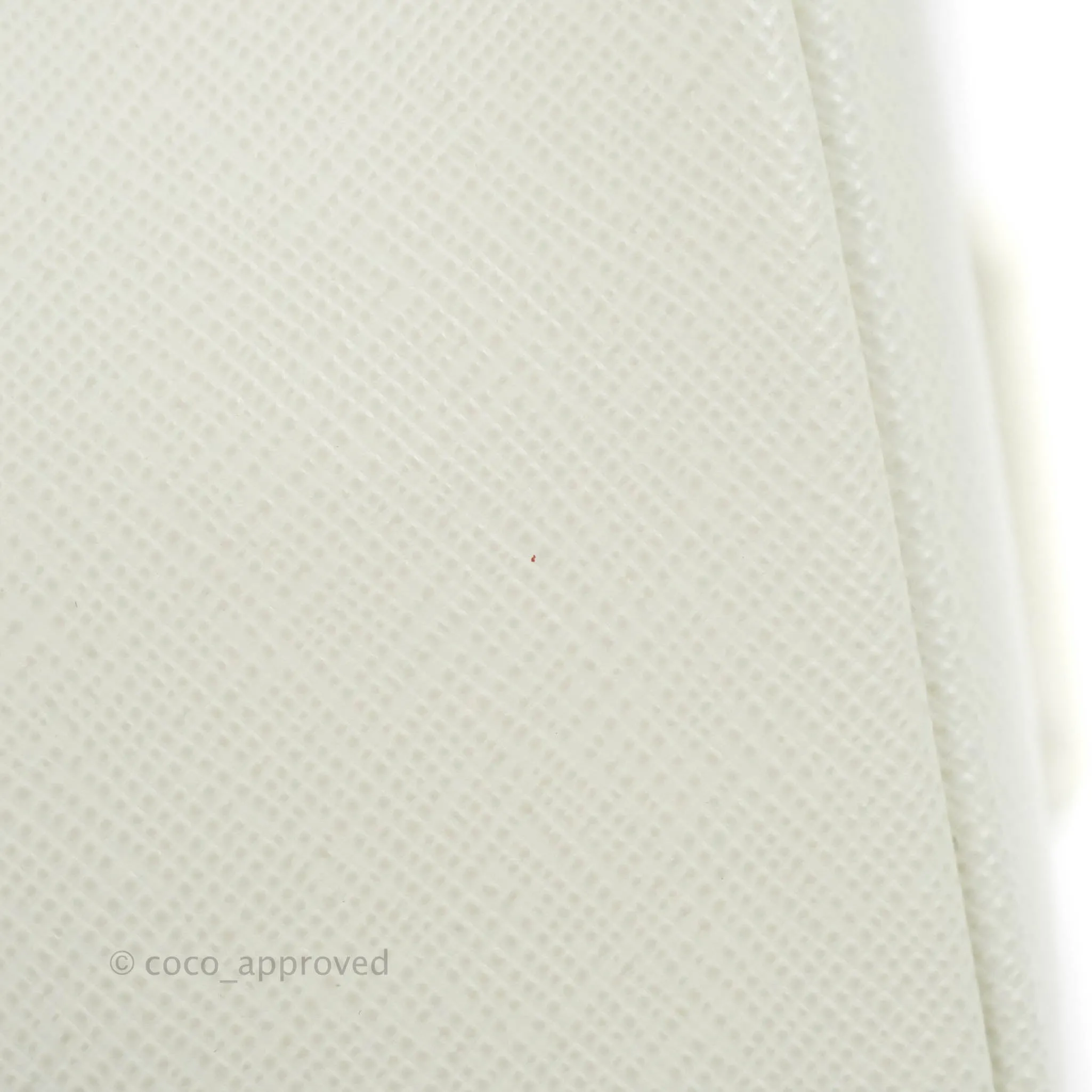 Prada Saffiano Leather Mini Bag White Gold Hardware