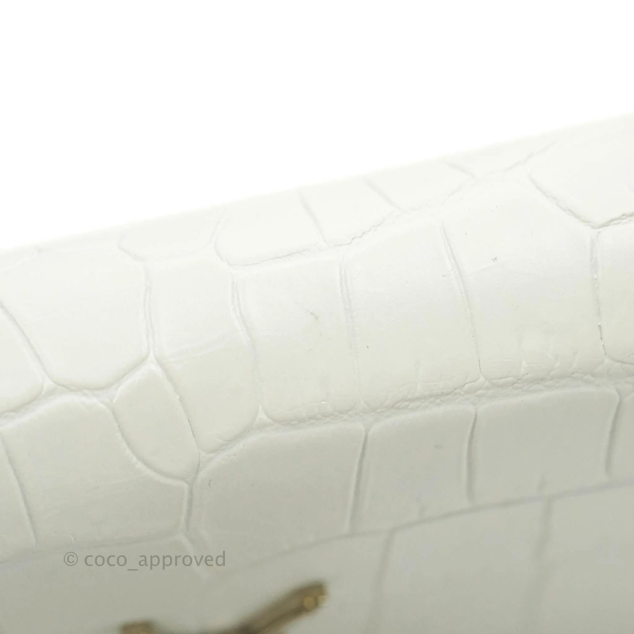Saint Laurent Kate Tassel WOC White Silver Hardware